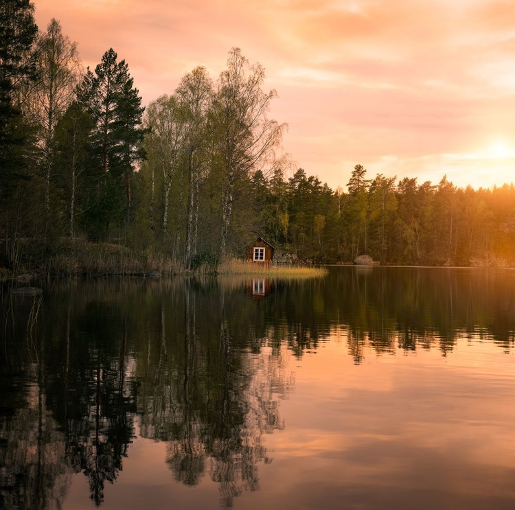 Picture of THE LITTLE RED HOUSE