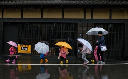 Picture of UNDER THE RAIN