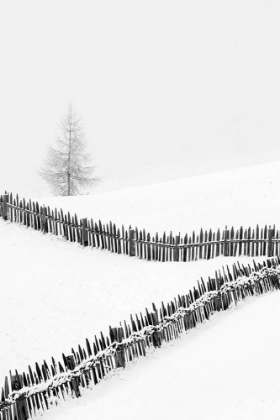 Picture of FENCES: PLAYING WITH LINES