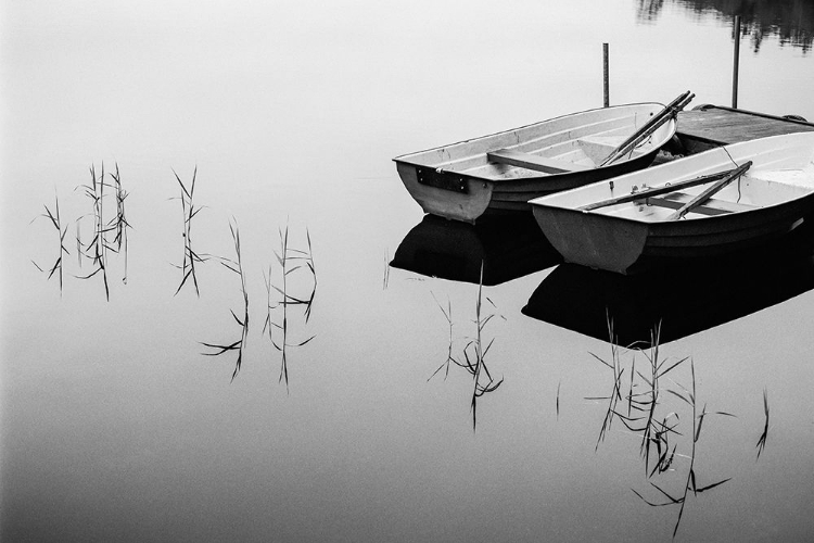 Picture of MORNING BY THE LAKE