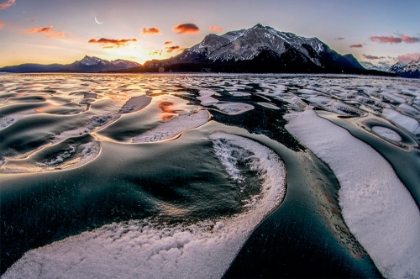 Picture of ROMANCE ON ICE