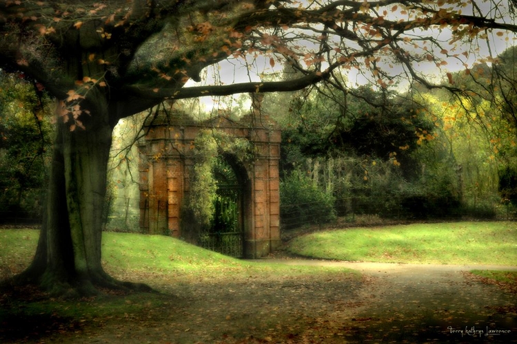 Picture of SUMMER GATE