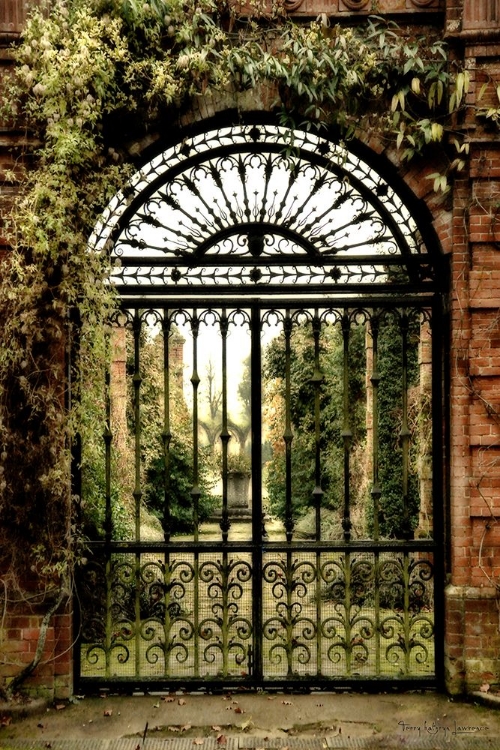 Picture of VINES AND IRON GATE