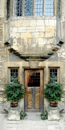 Picture of DOOR AND HOLIDAY TREES