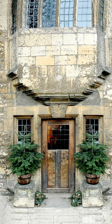 Picture of DOOR AND HOLIDAY TREES