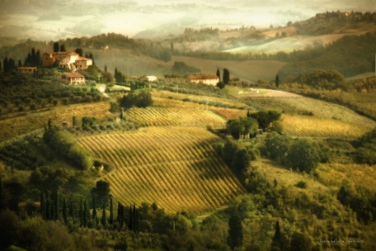 Picture of TUSCAN COUNTRYSIDE