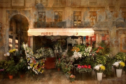 Picture of FLOWER SHOPPE BARCELONA