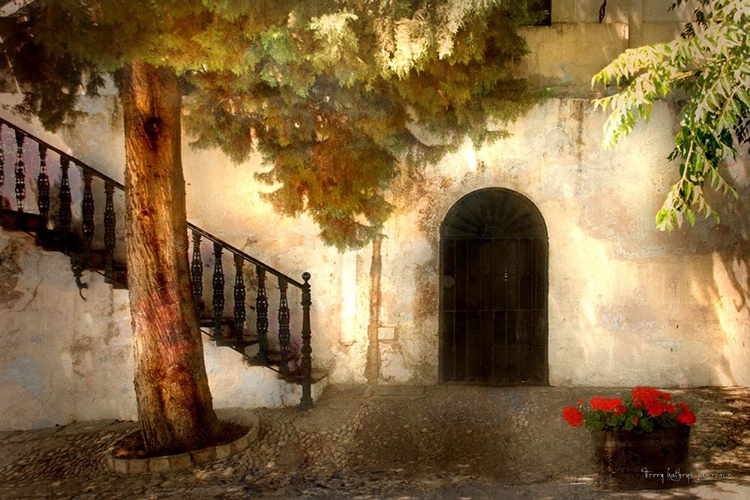 Picture of SPAIN TREE AND RED FLOWERS