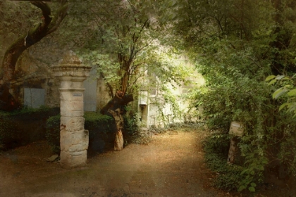 Picture of ST. REMY LANE I