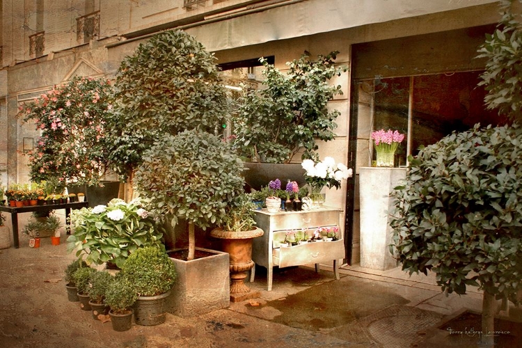 Picture of PARIS FLORIST SHOPPE II