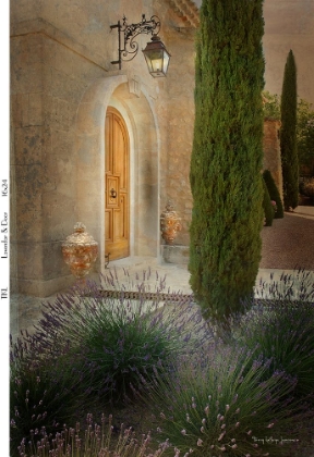 Picture of LAVENDAR AND DOOR