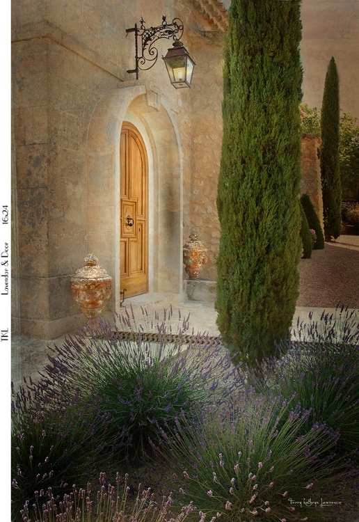 Picture of LAVENDAR AND DOOR