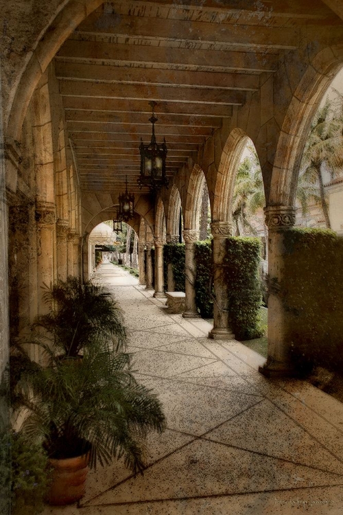 Picture of ARCHES AND PALMS