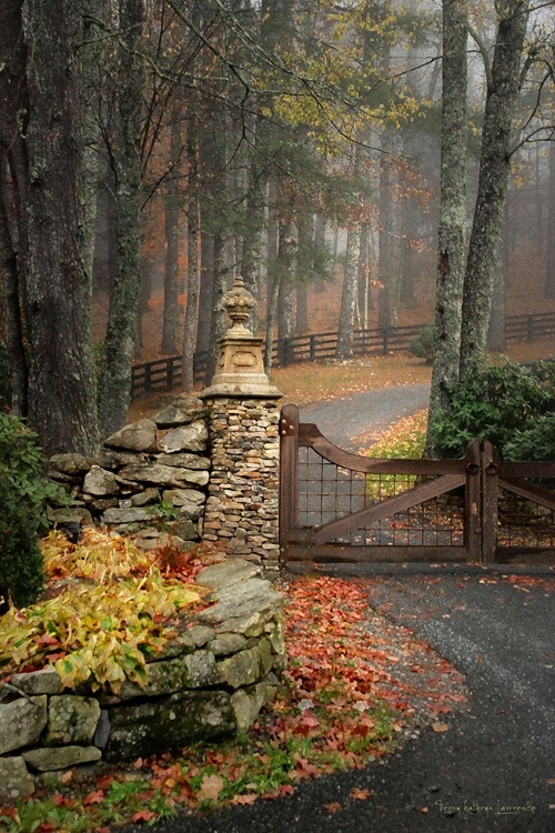 Picture of AUTUMN GATE I