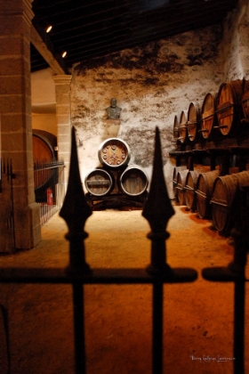 Picture of WINE BARRELS