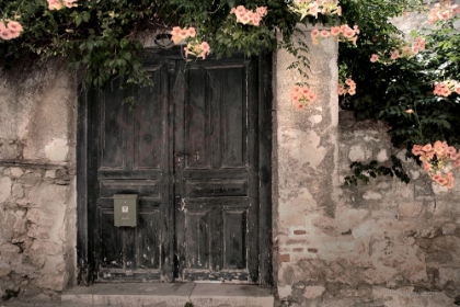 Picture of DOOR AND FLOWERS