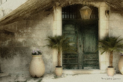 Picture of DOORS AND PALM TREE