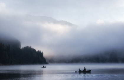 Picture of MORNING MIST