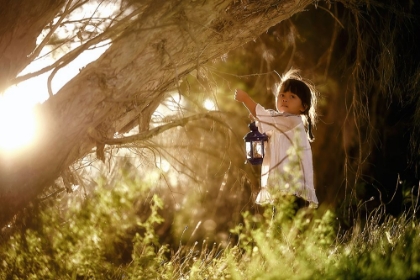 Picture of THE GIRL WITH THE BLUE LANTERN