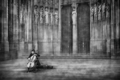 Picture of THE CELLIST