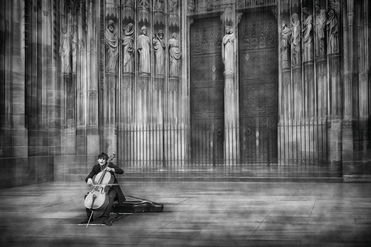 Picture of THE CELLIST