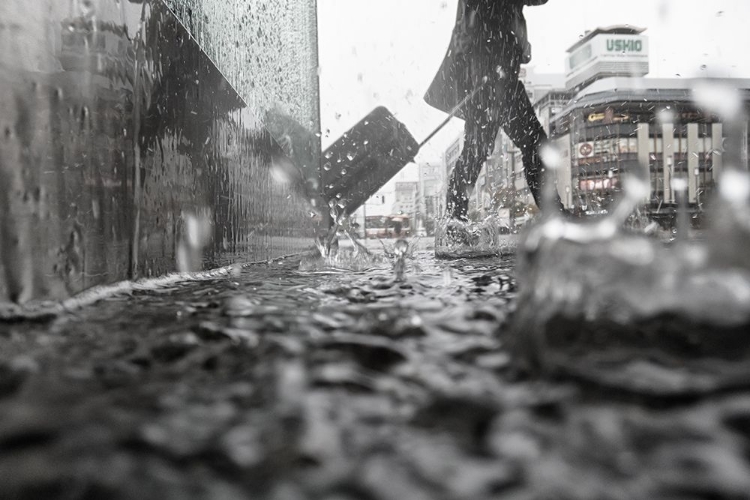 Picture of DEPARTURE ON A RAINY DAY