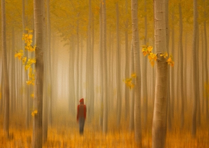 Picture of LOST IN AUTUMN