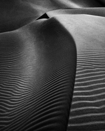 Picture of DUNES OF NUDE