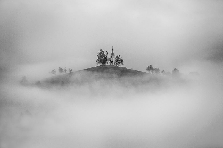 Picture of ON THE TOP OF THE HILL