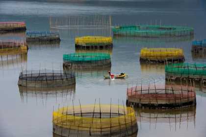 Picture of FISHING LIFE