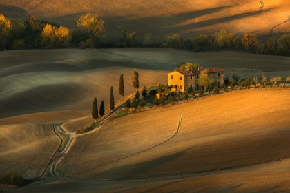 Picture of TOSCANY