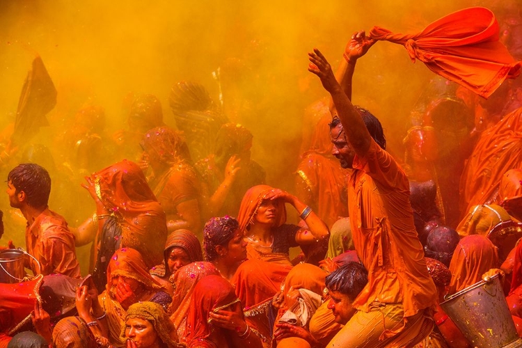 Picture of HOLI FESTIVAL