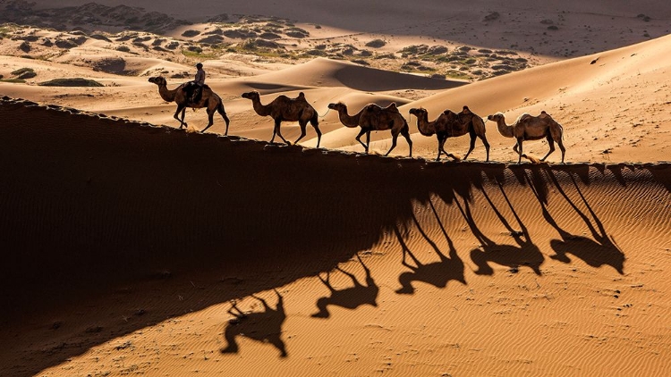 Picture of BADAIN JARAN DESERT-1