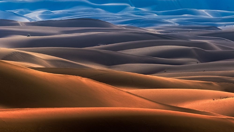 Picture of DREAM DESERT