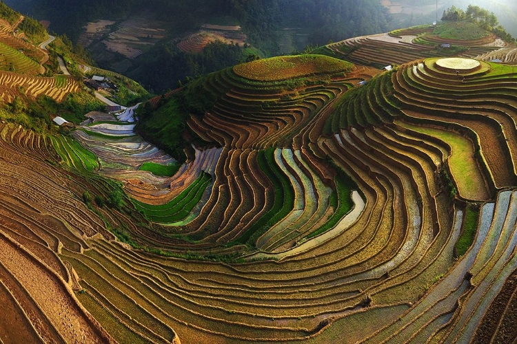 Picture of MU CANG CHAI - VIETNAM