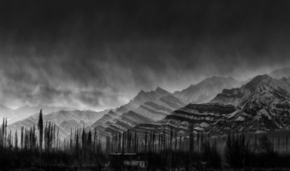 Picture of ZEBRA MOUNTAINS