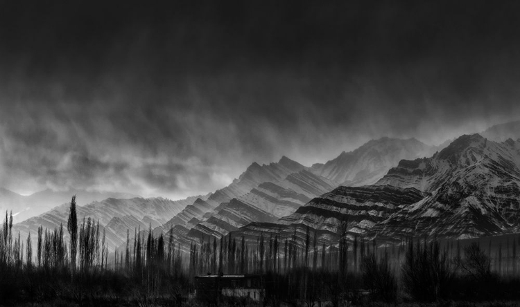 Picture of ZEBRA MOUNTAINS