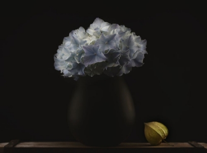 Picture of HYDRANGEA AND VASE