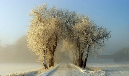 Picture of WINTER  GATEWAY