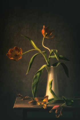 Picture of WILTED TULIPS