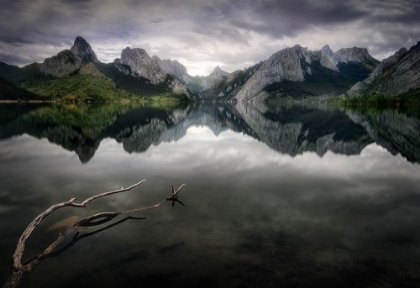 Picture of GUARDIANS OF THE LAKE