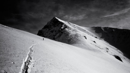 Picture of LONELY CLIMBER