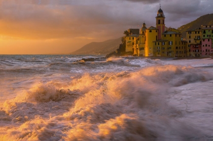 Picture of CAMOGLI