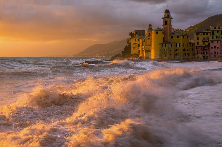 Picture of CAMOGLI