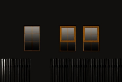 Picture of WINDOWS IN THE DARK