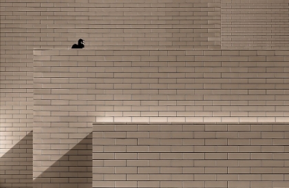 Picture of MAN BEHIND A WALL