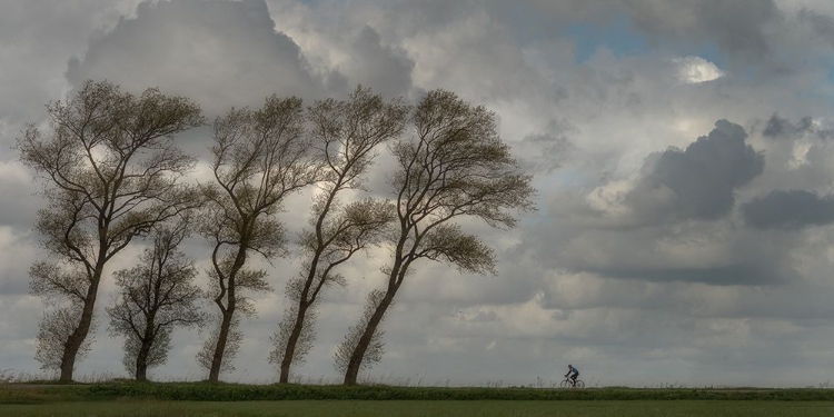 Picture of AGAINST THE WIND...........