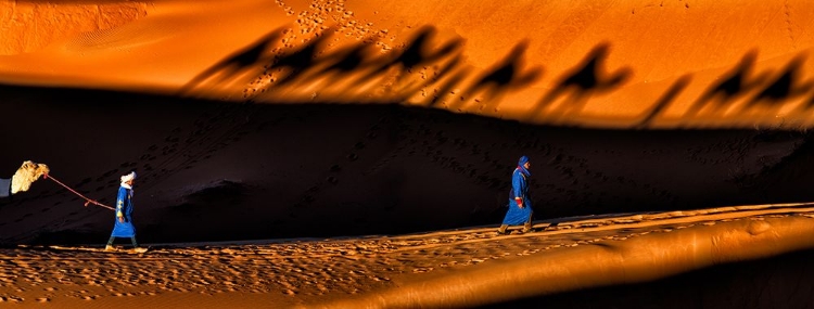 Picture of CAMEL CARAVAN