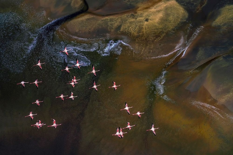 Picture of FLYING OVER LAKE MAGADI - 3