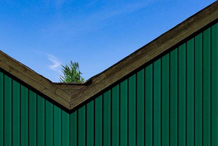 Picture of A ROOF GARDEN